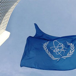 IAEA 是哪一机构的英文缩写?