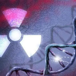 关于电离辐射生物学效应分类以下说法错误的是哪项？