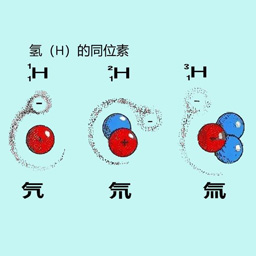 下面是同位素的是哪项？