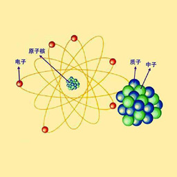 不属于中子和物质的主要相互作用形式是哪项？