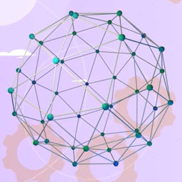 稳定核素和不稳定核素的数量，正确的是哪项？