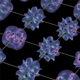 每种元素与核内包含的质子数的关系，正确的是哪项？